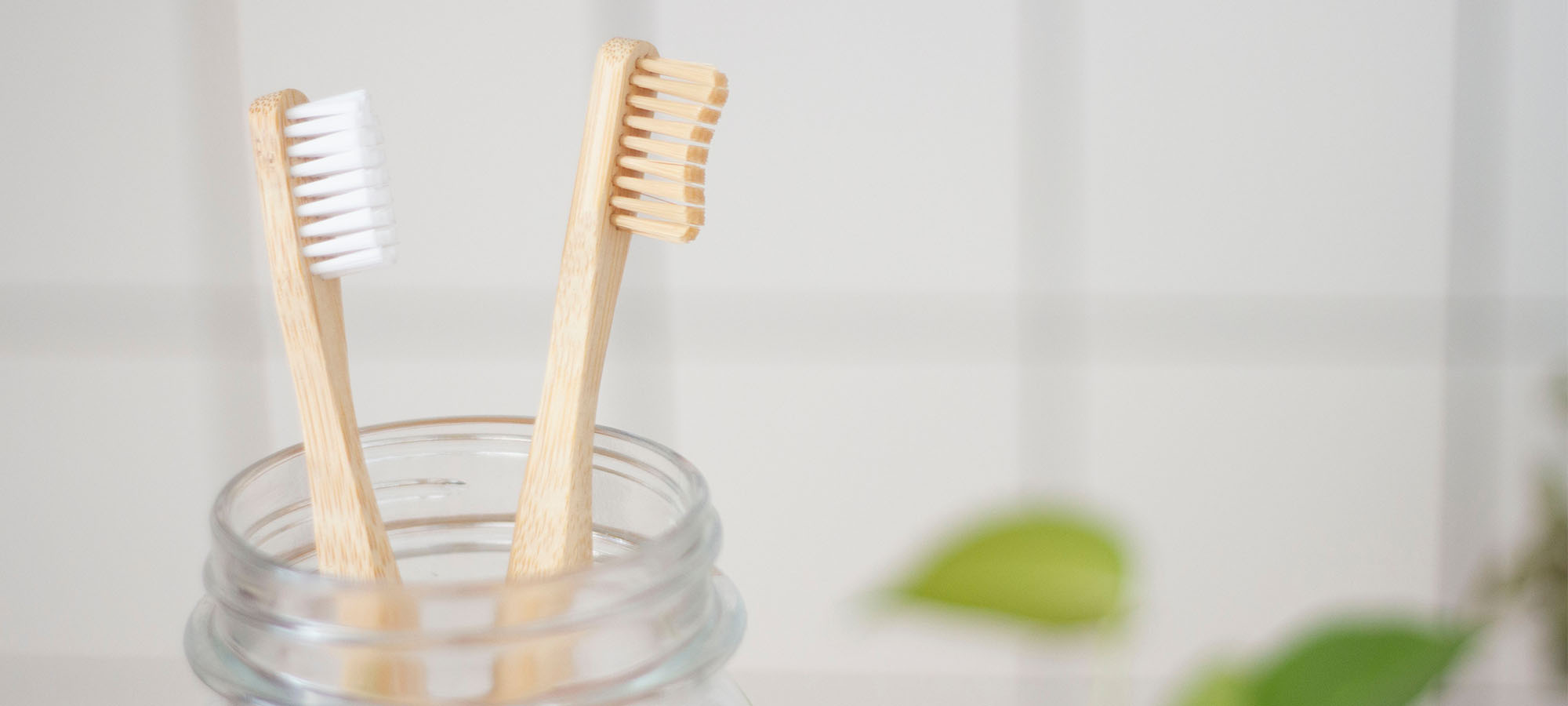 Minimera risken att drabbas av tandsten med noggrann tandborstning morgon och kväll
